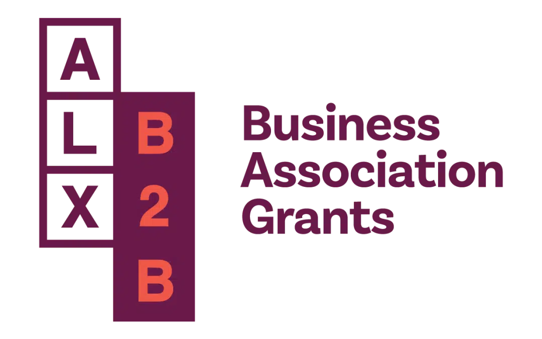 Business Association Grants Application Preview